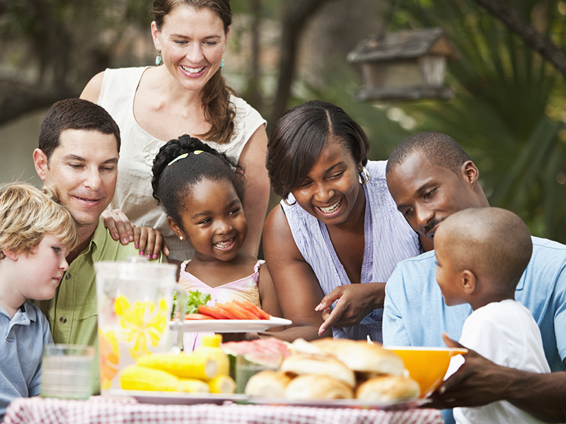 A family group has a picnic